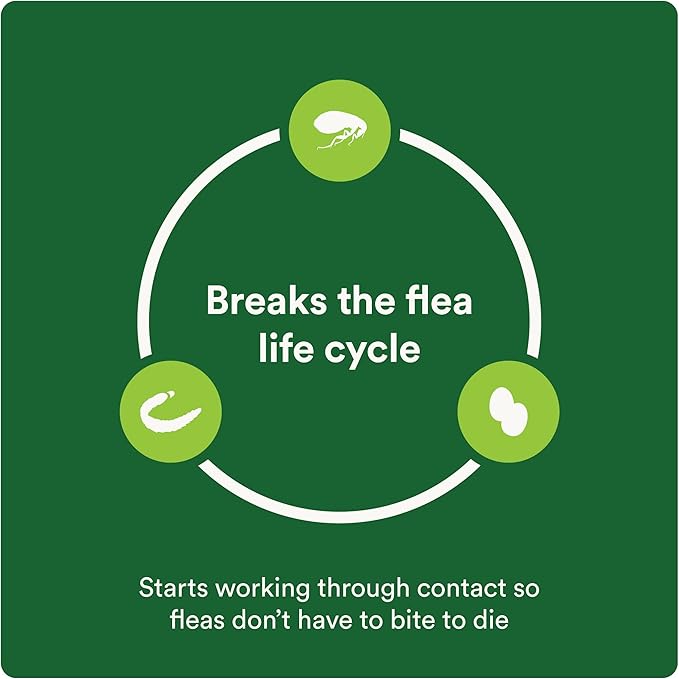 Plus Flea Prevention for Cats, Cat and Kitten Treatment & Control, Small and Large, Fast Acting Waterproof Topical Drops, 6 Month Supply