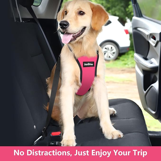 Dog Seat Belt, Safety Vest Dog Car Harness with Adjustable Buckle Dog Seat Belt for Vehicle Nylon Pet Safety Seat Belts Heavy Duty(XXL, Magenta)