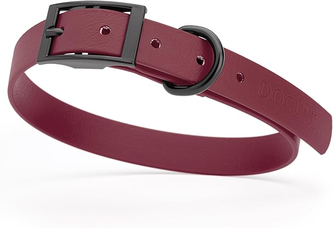Dogline Biothane Waterproof Dog Collar Strong Coated Nylon Webbing with Black Hardware Odor- Proof for Easy Care Easy to Clean High Performance Fits Small Medium or Large Dogs, Merlot Burgundy