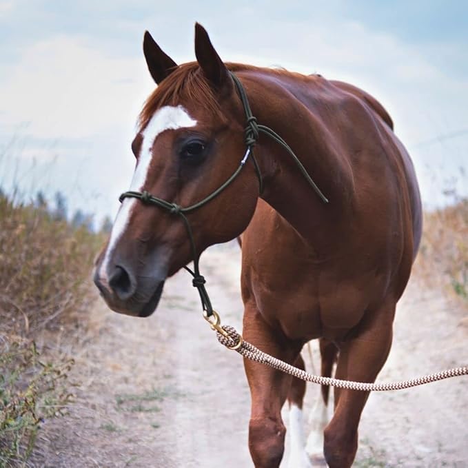 Double Braid Polyester Yacht Horse Lead Rope with Loop 12ft. or 14ft. Lengths (Beige, 14 ft. No Snap)