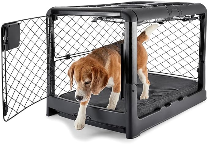 DIGGS Revol Collapsible Dog Crate with Wheels - Premium Portable Dog Crate - Safe, Stylish, and Convenient Indoor Kennel (Charcoal, Medium)