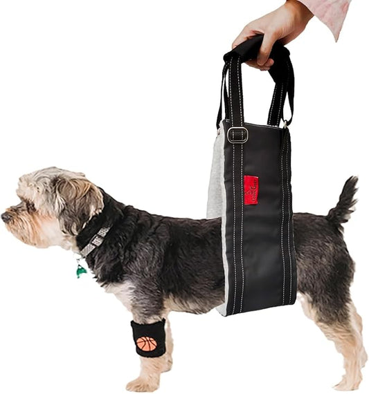 Dog Lift Harness - Adjustable Sling for Rear Legs with Soft Support for Senior, Injured, Disabled Dogs After ACL Surgery - Helping Pets with Canine Aid and Rehab Support (M)