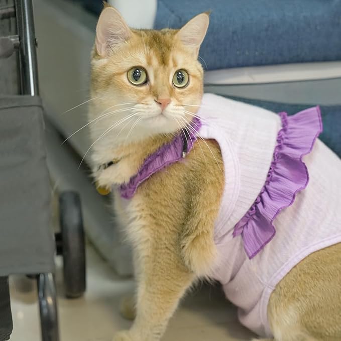 Cat Recovery Suit,Kitten Onesie After Surgery,E-Collar Alternative for Abdominal Wound and Skin Diseases,Soft Breathable Bodysuit After Spay（Purple-s）