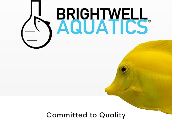 Brightwell Aquatics MicroBacter Start XLM - Concentrated Freshwater Nitrifying Bacteria - Quick Start Fish Tank Starter, Lift Microbe Levels & Water Filtering - Aquarium Water Treatments, 135.2 fl oz
