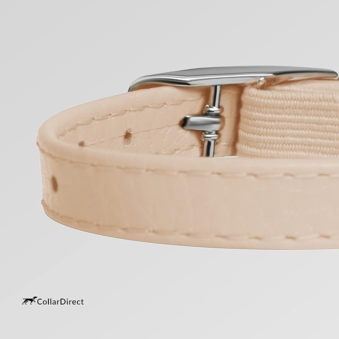 CollarDirect Leather Cat Collar, Kitten Collar with Removable Bell Black Blue Red Orange Lime Green (6-7 Inch, Beige)