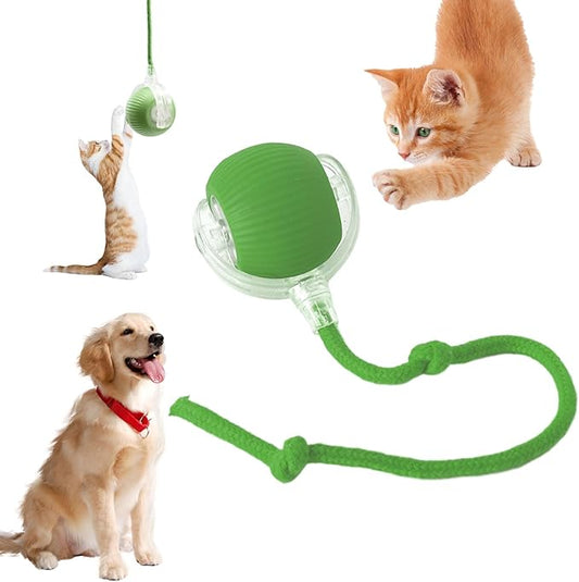 Chewie Viral Rolling Ball, Interactive Cat Toys Ball for Indoor, Cats Interactive Self Rolling Ball Dog Ball Automatic Cat Toy 360° Smart Automatic Rolling Pet Ball (Green)
