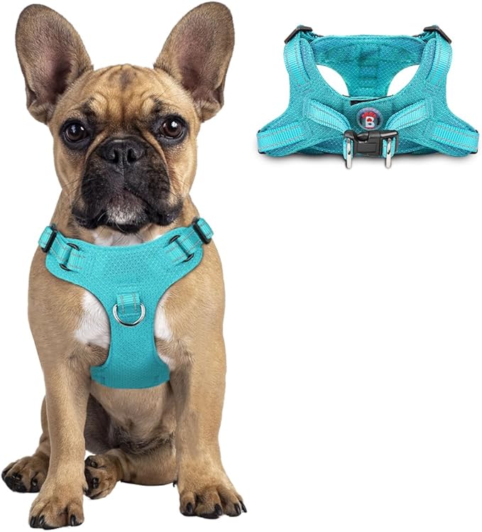 Dog Harness Step in Dog Vest Harness, Reflective Adjustable Puppy No Pull Harness Breathable Soft for Small and Medium Dogs Cats, Ocean Blue, S