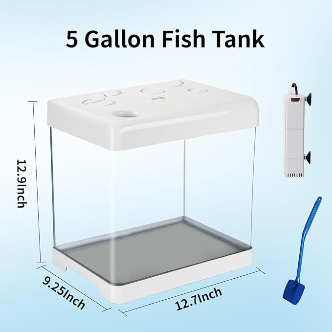5 Gallon Glass Small Fish Tank,Betta Fish Tank with Filter and Light,White Aquarium Starter Kit.