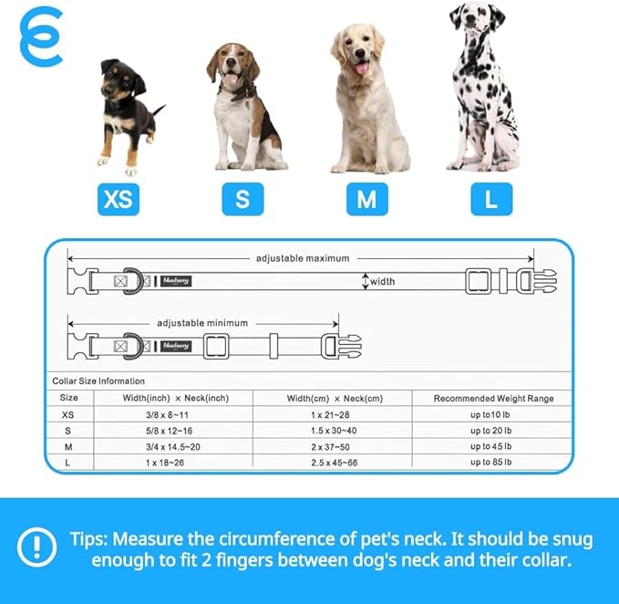 Blueberry Pet Essentials Medium Dog Collar in Fired Brick | Adjustable & Eco-Friendly Durable Nylon Strap | Classic Collar for Medium Dogs, Boy & Girl Pets