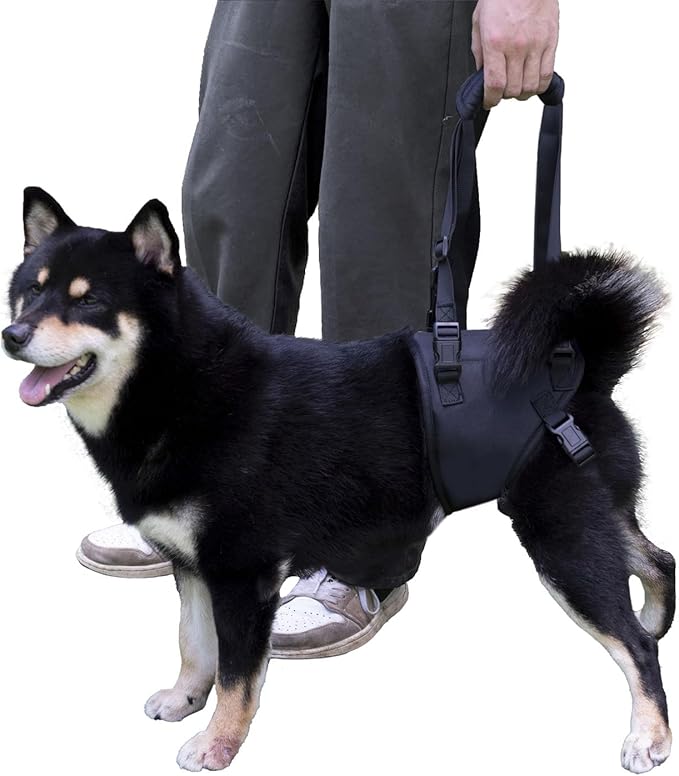 Dog Lift Harness for Dogs with Disabled Arthritis and Weak Back Legs, humanized Design with Comfortable Materials, Adjustable Back Legs and Straps, Suitable for Helping Dogs to Recover and Walk. (S)