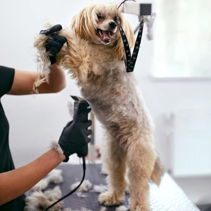 5FC Blade Dog Grooming Clipper Replacement Blades Compatible with Andis Dog Clippers,Detachable Ceramic Blade & Stainless Steel Blade,Size-5 FC 1/4-Inch Cut Length (64122)