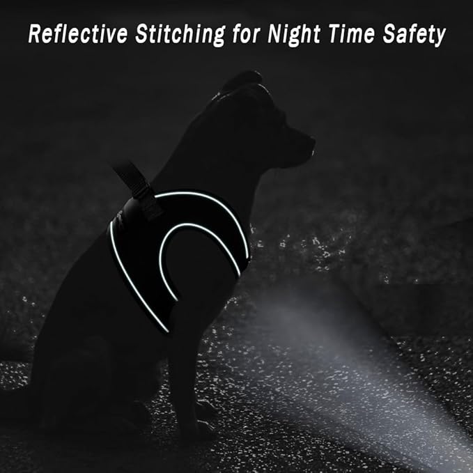 Comfort Fit Step-in Dog Harness for Small Medium Dogs – XS Black – No Pull, Soft Padded, Reflective Vest – Escape Proof Adjustable Puppy Harness for Walking, Training, Service & Everyday Use