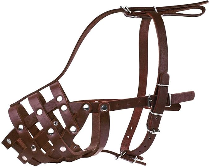 CollarDirect Dog Muzzle German Shepherd Dalmatian Doberman Setter Leather Basket Medium Large Breeds (Chestnut Brown, Large)