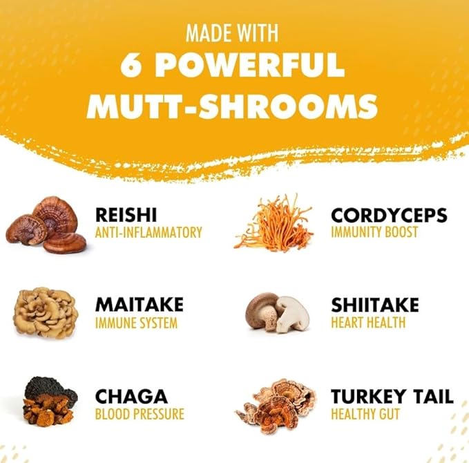 iHeartCats Bone Broth for Cats - Bone Broth & Mushroom Gold Powder Supplement for Immune System Support, Improved Mobility & Flexibility and Natural Detox - Turkey Tail Mushroom for Cats