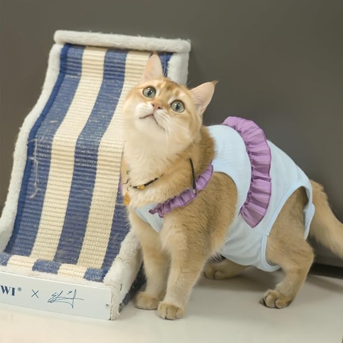 Cat Recovery Suit,Kitten Onesie After Surgery,E-Collar Alternative for Abdominal Wound and Skin Diseases,Soft Breathable Bodysuit After Spay（Blue-l）