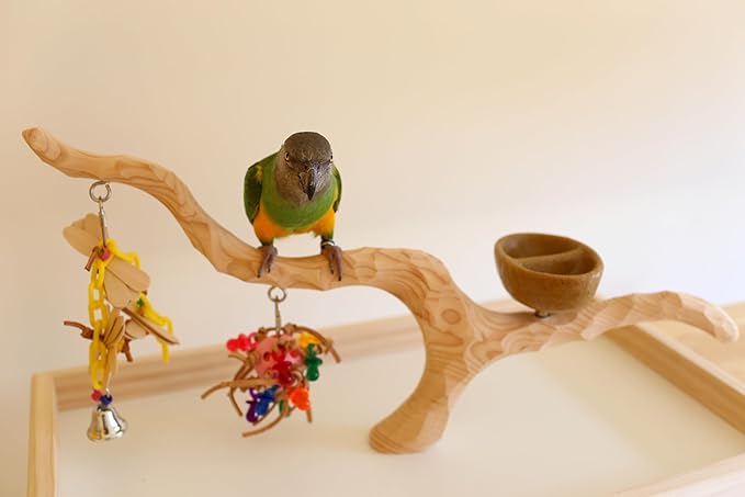 Deluxe Tabletop Perfect Tree (with Bowl) - Tree Stand for Parakeets and Small Parrots