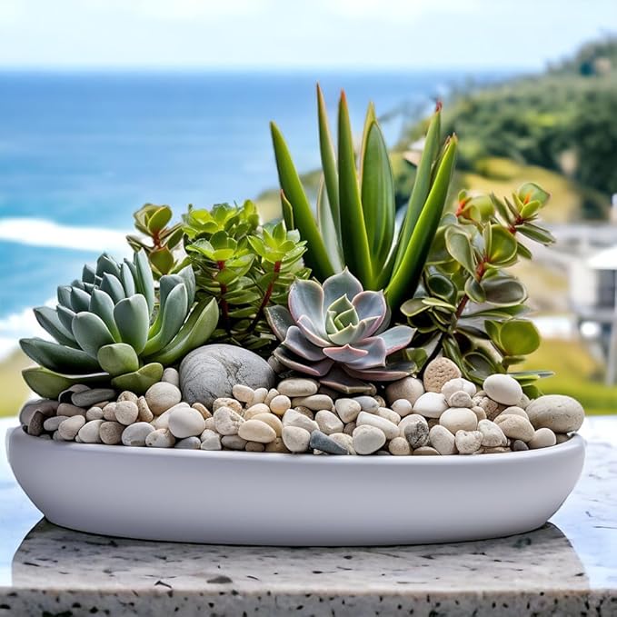 HappyFiller Natural Decorative White Pebbles Polished Rocks Stones for Aquarium Gravel,Fish Turtle Tank,Outdoor Indoor Succulents Plants Top Dressing,Graden Landscaping,10 LB