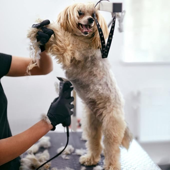 Dog Grooming Clipper Replacement Blades Compatible with Andis Pet Clipper/Oster A5/Wahl KM Series Dog Clipper,Ceramic Blade & Stainless Steel Blade(10+30+7FC+5FC)