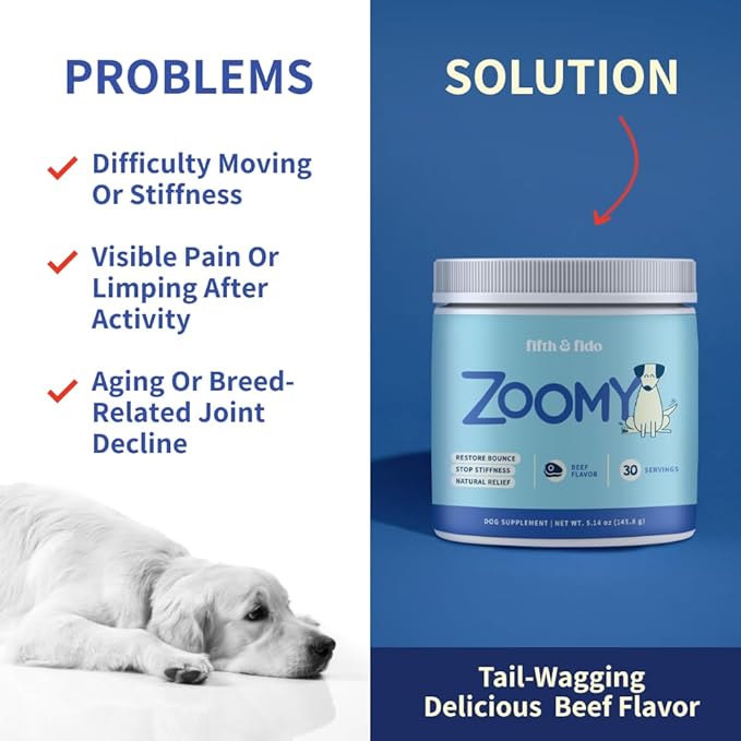 Dog Joint Supplement Powder with Glucosamine, Chondroitin & MSM – Hip & Joint Support for Mobility, Stiffness & Flexibility – Mushroom Blend with Lion’s Mane, Cordyceps & Reishi – Zoomy