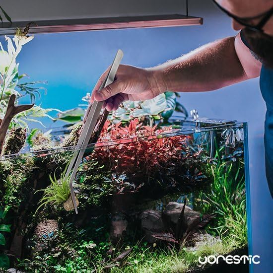 15 Inches Heavy Duty Reptile Feeding Tongs, Curved Aquarium Tweezers, Reptile Tongs, Fish Feeding Tongs, Reptile Feeding Tweezers, Long Tweezers for Aquarium and Terrarium