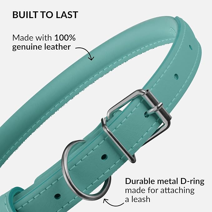 CollarDirect Rolled Leather Dog Collar, Soft Padded Round Puppy Collar, Handmade Genuine Leather Collar Dog Small Large Cat Collars 13 Colors (13-16 Inch, Mint Green Smooth)