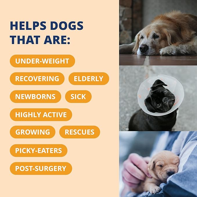 Under the Weather Pet Electrolytes Ready Cal Plus Gel for Dogs | Vet-Formulated High-Calorie Supplement for Dog & Puppy | Provides Essential Calories & Promotes Weight Gain | 3.5 Oz Tube Pack