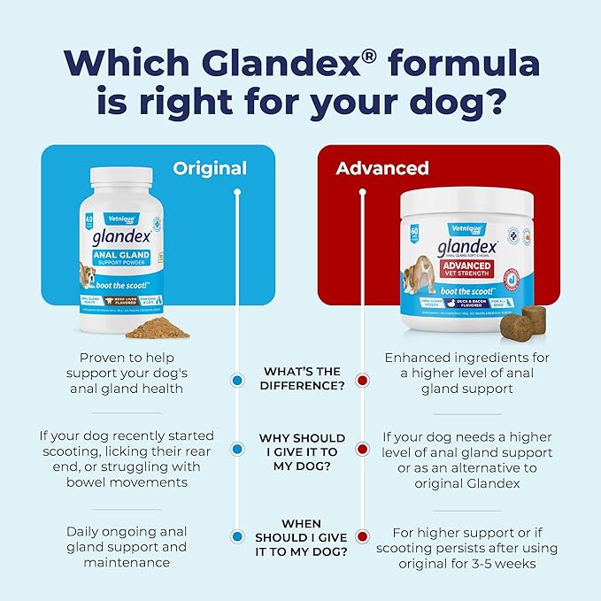 Glandex Dog Fiber Supplement Powder for Anal Glands with Pumpkin, Digestive Enzymes & Probiotics - Vet Recommended (Regular or Advanced Strength) - Boot The Scoot (5.5 oz, Vegan Salmon)