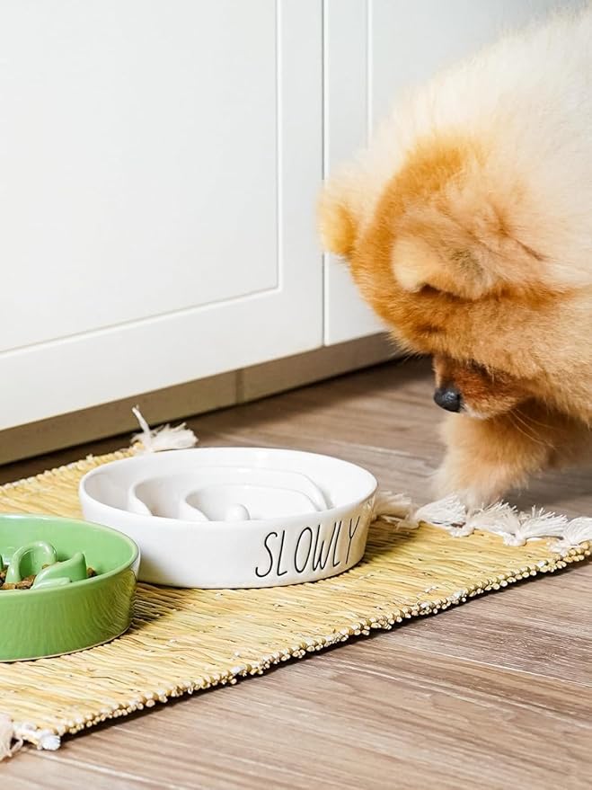 Ceramic Elevated Slow Feeder Dog Bowl - 0.6 Cup Puzzle Feeder with Wooden Stand for Small Breeds, White Pet Dish