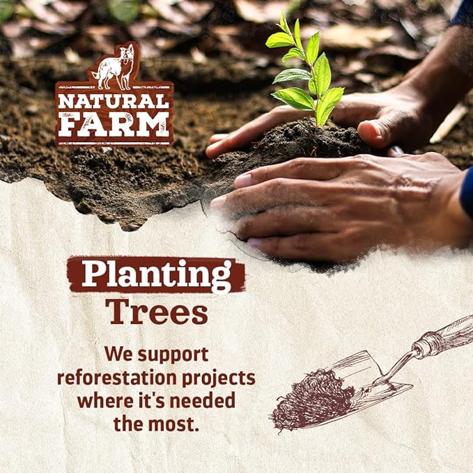 Natural Farm Collagen Chews. 6 Inch, 10 Pack. Odor-Free Long Lasting Bully Sticks & Rawhide Alternative Dog Treats, 95% Collagen Low Fat, High Protein Best Dental Dog Treats – Medium & Large Dogs