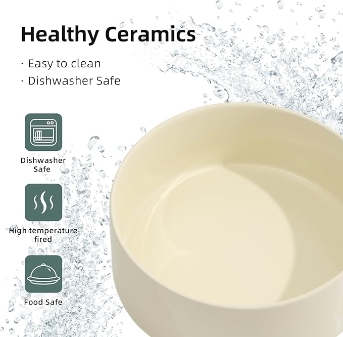 Ceramic Elevated Cat Food and Water Bowl, Kitty Bowl, Raised Cat Dish, Pet Feeder (5.1 in, 2 x Beige + Stand)