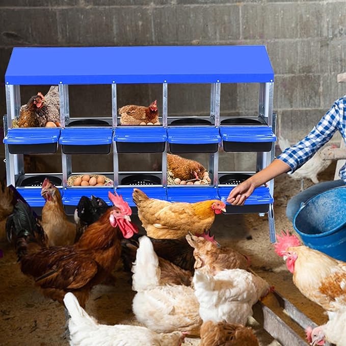 Chicken Nesting Boxes, 10 Hole Metal Chicken Laying Box with with Removable Trays and Roll Out Egg Collection for Chicken Coop, with Metal Bracket, Blue
