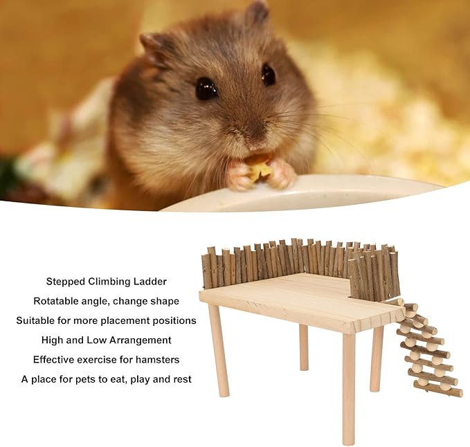 Diydeg Hamster Wooden, 2 Layer Small Hamster Stand Playground with Ladder, Hamster Climbing Toy Cage Accessories for Squirrel Gerbil Chinchilla Parrot Bird Small Animals