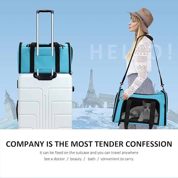 Large Cat Carriers Dog Carrier Pet Carrier for Large Cats Dogs Puppies up to 25Lbs, Big Dog Carrier Soft Sided, Collapsible Travel Puppy Carrier - Large - Blue