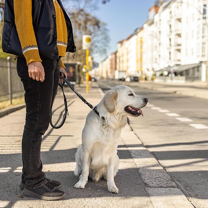 4-6FT Heavy Duty Dog Leashes for Large Dogs, Shock Absorbing Bungee Tactical Leash with 2 Padded Handle, Car Seatbelt and Metal Carabiner Clip, Strong No Pull Dog Leash for Medium