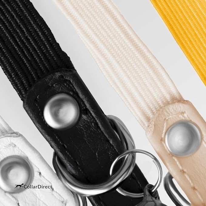 CollarDirect Leather Cat Collar, Kitten Collar with Removable Bell Black Blue Red Orange Lime Green (6-7 Inch, White)