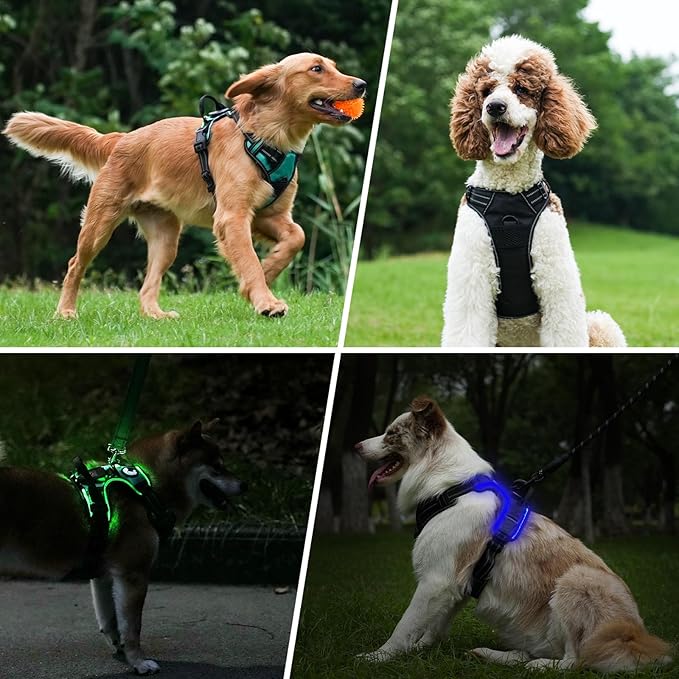 Taglory Light Up Dog Harness, Rechargeable No Pull Dog Vest with 3 Lightning Modes, Reflective Dog Harness with 2 Leash Clips & 4 Adjustable Slide Strips for Large Dogs, Orange-Orange, XL