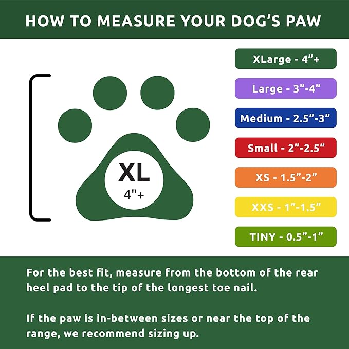 Protex PawZ Rubber Dog Boots for Paws 4" and Up, 24 Total (2 Packs of 12) - All-Weather, Anti-Slip, Waterproof Dog Socks - X-Large, Green