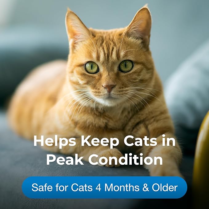 PetAg Vitamin & Mineral Gel Supplement for Cats - 3.5 oz - Provides Basic Daily Vitamins & Minerals for Cats 4 Months and Older - Easy to Digest