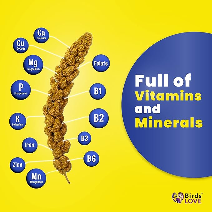 Birds LOVE Spray Millet – 9 oz GMO-Free, No Stems (Only Edible Tops) – Healthy Treat for Parakeets, Cockatiels, Finches, Canaries & Lovebirds