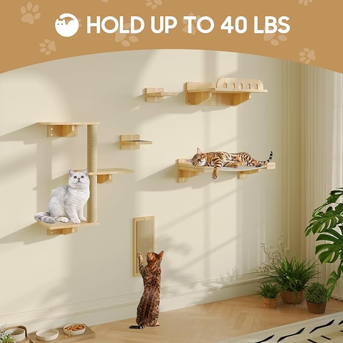 Cat Wall Shelves, Set of 6 Wooden Cat Wall Furniture Includes Scratching Post with 3 Steps, Jumping Platform, Hammock and Scratcher Board for Kittens
