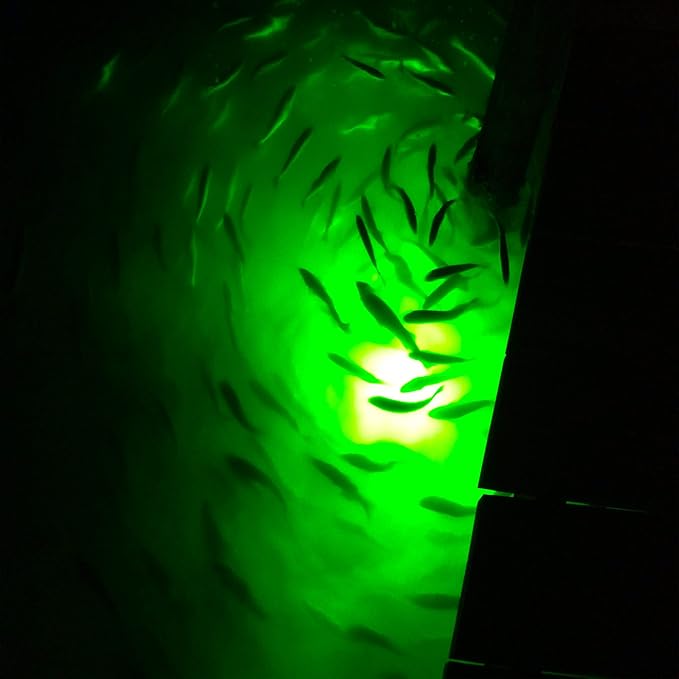 Underwater Fish Light 175-watt Single Dock Light for Fresh or Salt Water, Easy to Install, Attracts Fish, Dusk to Dawn Operation