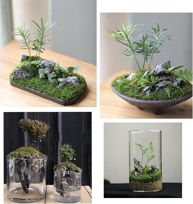 Unocho Seiryu Rock Stone Aquarium Rocks 40LB Fish Tank Rocks for Aquariums Landscaping Model Tank Decoration Aquarium Miniature and Fairy Garden-3 to 12 inches