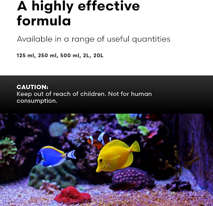 Brightwell Aquatics Rēplenish – Premium Trace & Minor Element Supplement for Marine Aquariums, Supports Healthy Fish, Corals, and Invertebrates, 250 ml