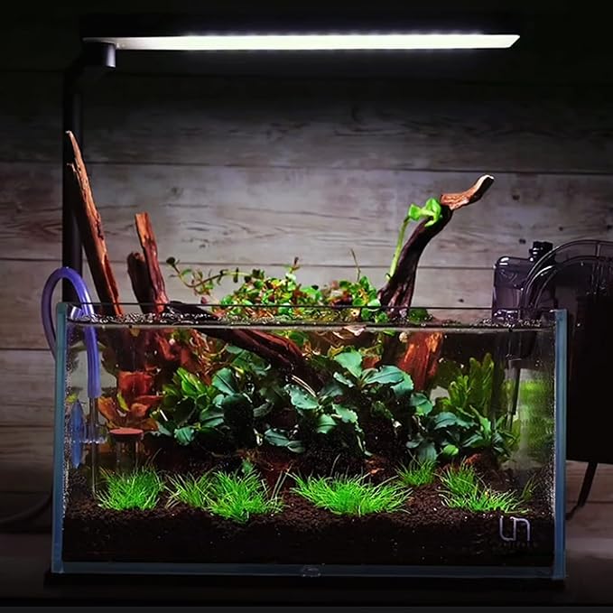 majoywoo Natural Small Coral Driftwood for Aquarium Decor Fish Tank Decorations, Assorted Driftwood Branch 4.5-7.5" 5 Pcs, Reptile Decor