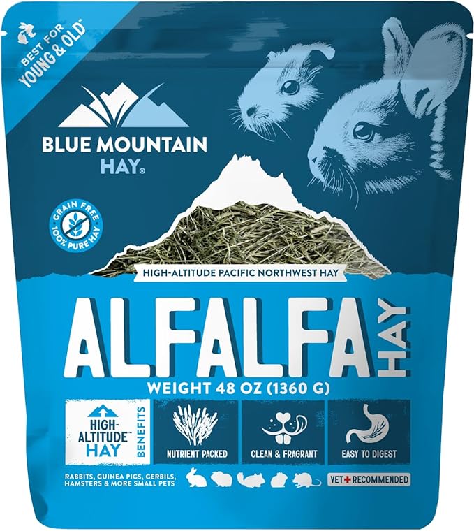 Blue Mountain Hay | Fresh Alfalfa Hay (48 Ounce) | High Leaf Retention | Nutritious High-Altitude Hay Pet Food for Rabbits, Guinea Pigs, Chinchillas, Hamsters, and Other Small Pets