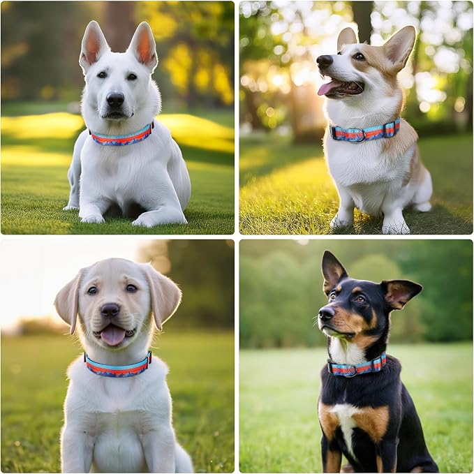 HEELE Dog Collar, Adjustable Soft Dog Collar for Small Medium Large Dogs,Floral Patterned Puppy Collars with Quick Release Buckle XS Length 8.5''-11''