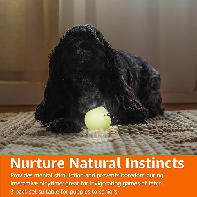 Amazon Basics Dog Toys, Interactive Glow Rubber Balls, (Pack of 3), 2.5 inch, Beige