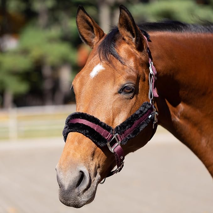 Equinavia Valkyrie Soft Ultra Fleece Padded Adjustable Breakaway Horse Halter - Wine Red/Black - Warmblood