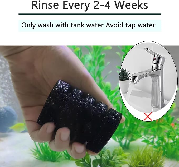 AQUANEAT Aquarium Air Powered Sponge Filter with Ceramic Media Balls, for Betta Fry Shrimp Fish Tank, with 2 Spare Sponges, Small
