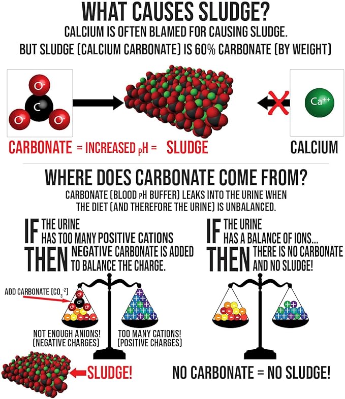 Urinary Support by Sherwood Pet Health (100 Tablets - 60 Grams)
